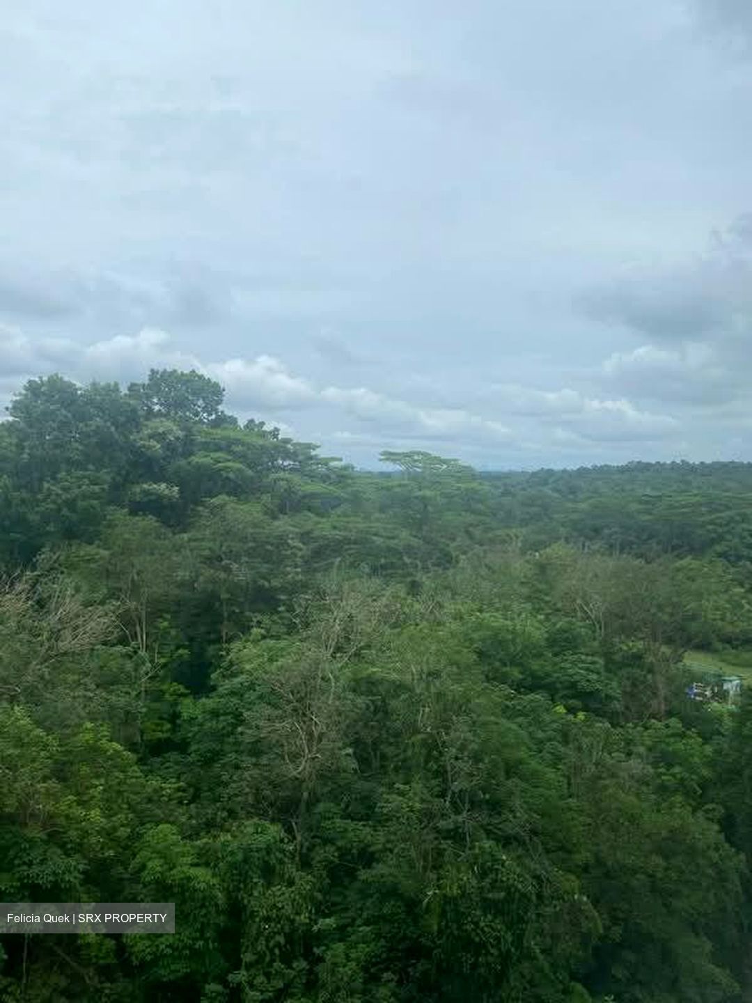 Eco Sanctuary (D23), Condominium #538034081